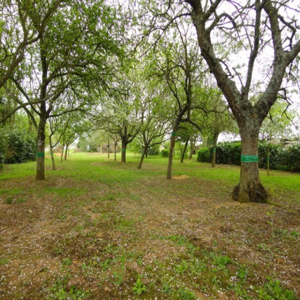 Offres de vente Maison Conlie 72240